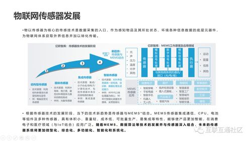 IT互聯網科技沙龍第二期圓滿落幕，聚焦網絡信息技術前沿動態